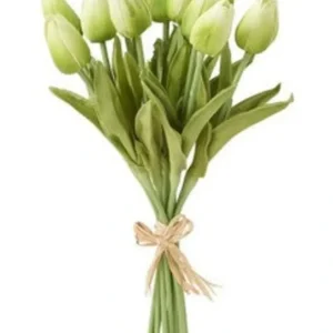 11399B-GR 13.5 Inch Green Real Touch Mini Tulip Bundle (12 Stems) - cozylivehome.com | we sell a wide range of comfortable household items* Giftware