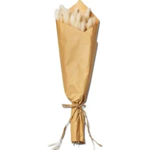 Shop All^Bunny Tail Bunch - cozylivehome.com | we sell a wide range of comfortable household items