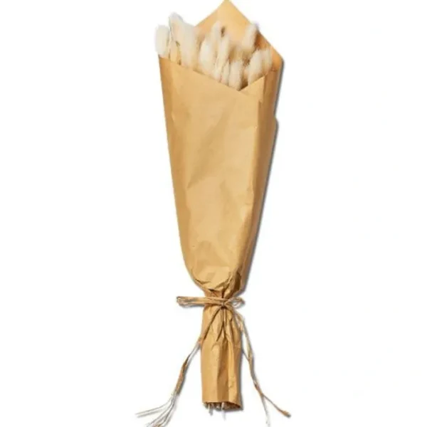 Shop All^Bunny Tail Bunch - cozylivehome.com | we sell a wide range of comfortable household items