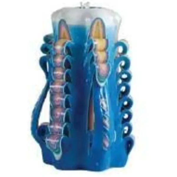 Shop All^8" Carved Havdalah Candle - cozylivehome.com | we sell a wide range of comfortable household items