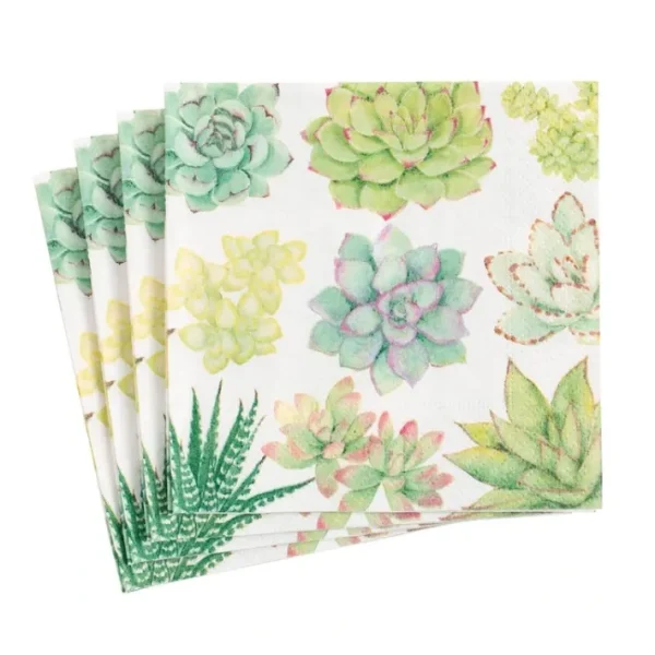 Shop All^COCKTAIL NAPKIN SUCCULENTS - cozylivehome.com | we sell a wide range of comfortable household items