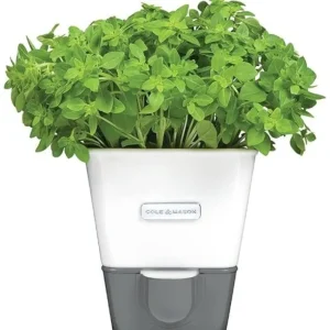 Shop All^Cole & Mason Self-Watering Potted Herb Saver - cozylivehome.com | we sell a wide range of comfortable household items