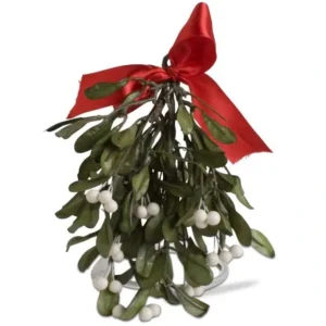 Dark Green Hanging Mistletoe - cozylivehome.com | we sell a wide range of comfortable household items* Holiday Decor