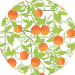 Shop All^DIE CUT PLACEMAT ORANGE GROVE - cozylivehome.com | we sell a wide range of comfortable household items
