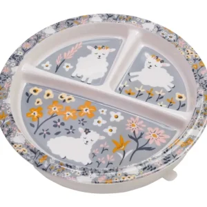 Shop All^Divided Suction Plate - cozylivehome.com | we sell a wide range of comfortable household items
