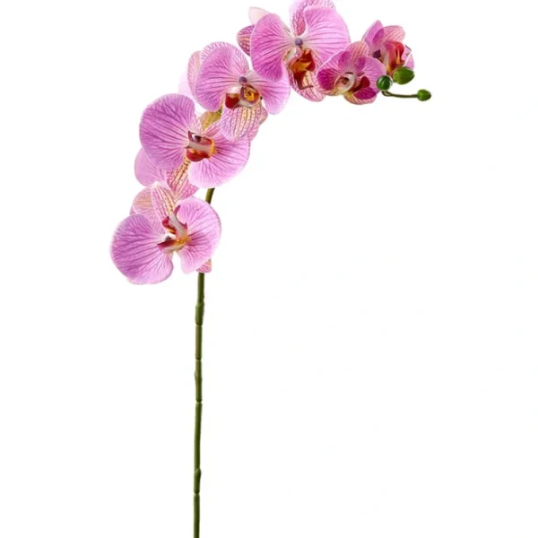 FSO173-PK/RB 30"RT PHALAENOPSIS SPRAY 9F - cozylivehome.com | we sell a wide range of comfortable household items* Giftware