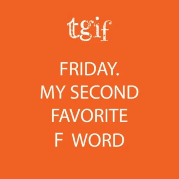 Shop All^FUNNY NAPKIN- FRIDAY - cozylivehome.com | we sell a wide range of comfortable household items