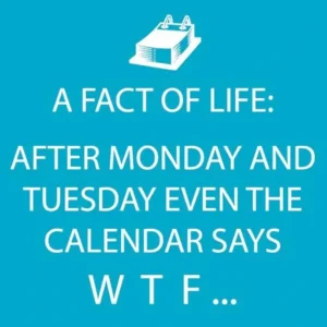 Shop All^FUNNY NAPKIN WTF WEEKDAYS - cozylivehome.com | we sell a wide range of comfortable household items