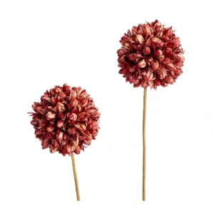 097184 Handmade Brown Stem 2 Piece - cozylivehome.com | we sell a wide range of comfortable household items* Giftware