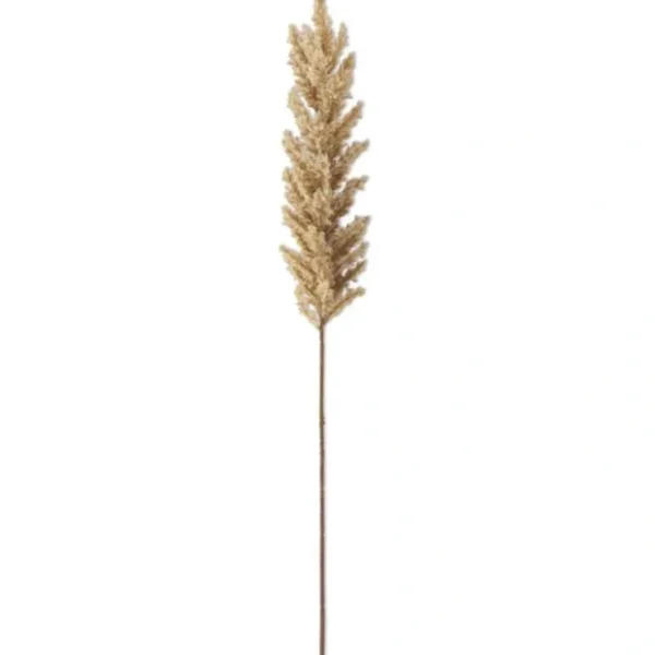 36.5 Inch Cream Flocked Cypress Branch - cozylivehome.com | we sell a wide range of comfortable household items* Giftware