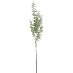 38 Inch Light Green Gunnii Eucalyptus Stem - cozylivehome.com | we sell a wide range of comfortable household items* Giftware