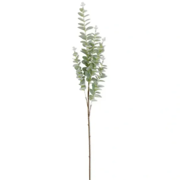 38 Inch Light Green Gunnii Eucalyptus Stem - cozylivehome.com | we sell a wide range of comfortable household items* Giftware