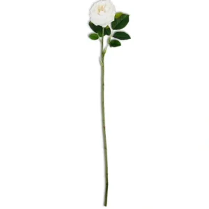 24 Inch White Real Touch Austin Rose Stem - cozylivehome.com | we sell a wide range of comfortable household items* Giftware