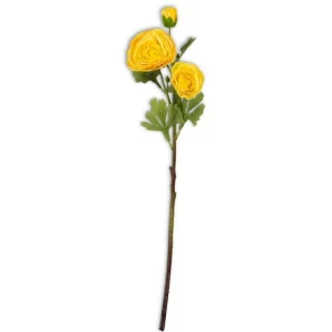 25 Inch Yellow Real Touch Triple Bloom Ranunculus Stem - cozylivehome.com | we sell a wide range of comfortable household items* Giftware