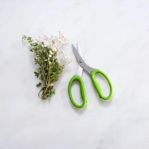 Messermeister 6" Culinary Scissors - cozylivehome.com | we sell a wide range of comfortable household items* Shop All