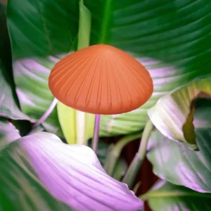 Mushroom Grow Light Regular price - cozylivehome.com | we sell a wide range of comfortable household items* Shop All