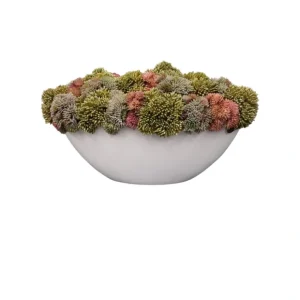 Purple Green Pink in M Round Pot - cozylivehome.com | we sell a wide range of comfortable household items* Giftware