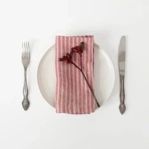 Red Natural Stripes Linen Napkins Set- 2 - cozylivehome.com | we sell a wide range of comfortable household items* Shop All