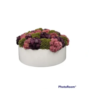 Sedum Round White Planter/ Color Vary - cozylivehome.com | we sell a wide range of comfortable household items* Giftware