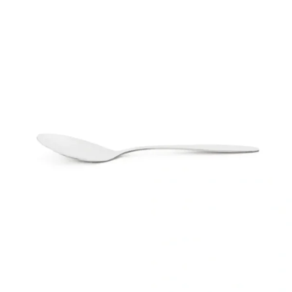 STAINLESS STEEL SPOON LARGE 8.75" - cozylivehome.com | we sell a wide range of comfortable household items* Shop All