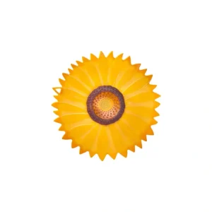 SUNFLOWER LID 6" - cozylivehome.com | we sell a wide range of comfortable household items* Shop All