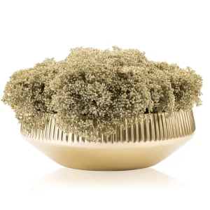 VAF-CF-G-BG Vase Flower - Gold Bowl - Greenery - cozylivehome.com | we sell a wide range of comfortable household items* Giftware