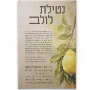 VP-PB-LU-18X10.5 Vinyl Print - Lulav By Batya - 18x10.5 - cozylivehome.com | we sell a wide range of comfortable household items* Shop All